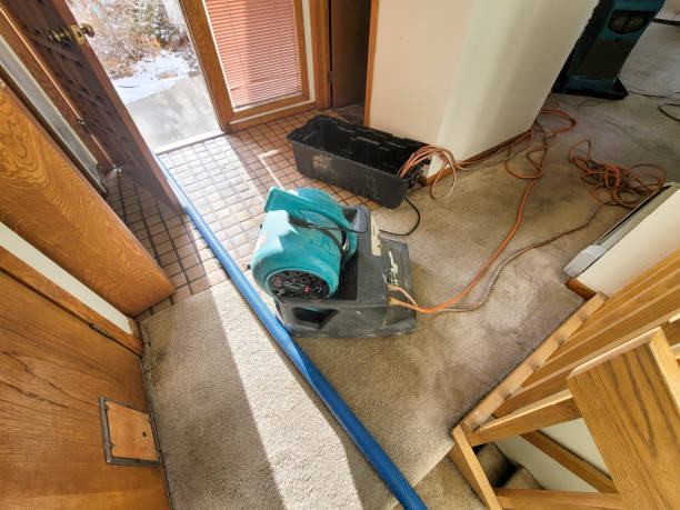 Best Residential water damage restoration  in White Salmon, WA