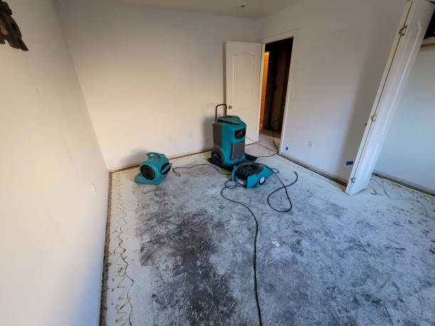 Best Water damage restoration mold remediation  in White Salmon, WA