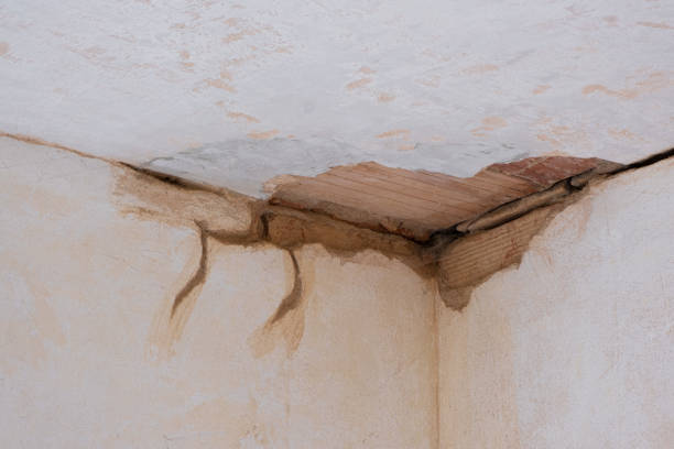 Carpet water damage restoration in White Salmon, WA