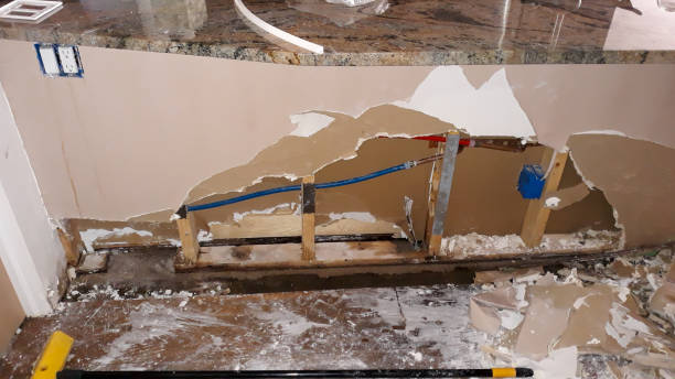 Best Carpet water damage restoration  in White Salmon, WA