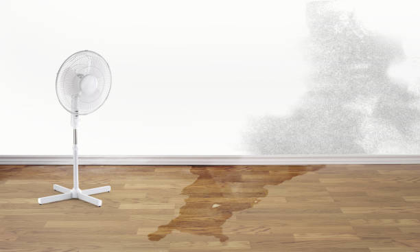Best Flooded house restoration  in White Salmon, WA
