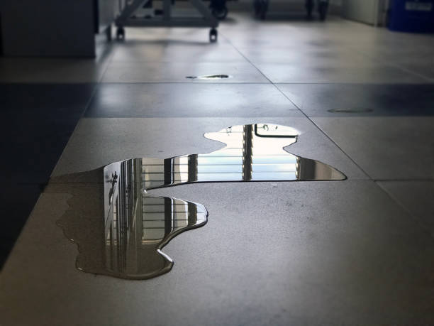 Best Water damage mitigation services  in White Salmon, WA