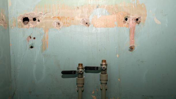 Trusted White Salmon, WA Water damage restoration Experts