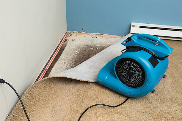 Best Emergency water damage restoration  in White Salmon, WA